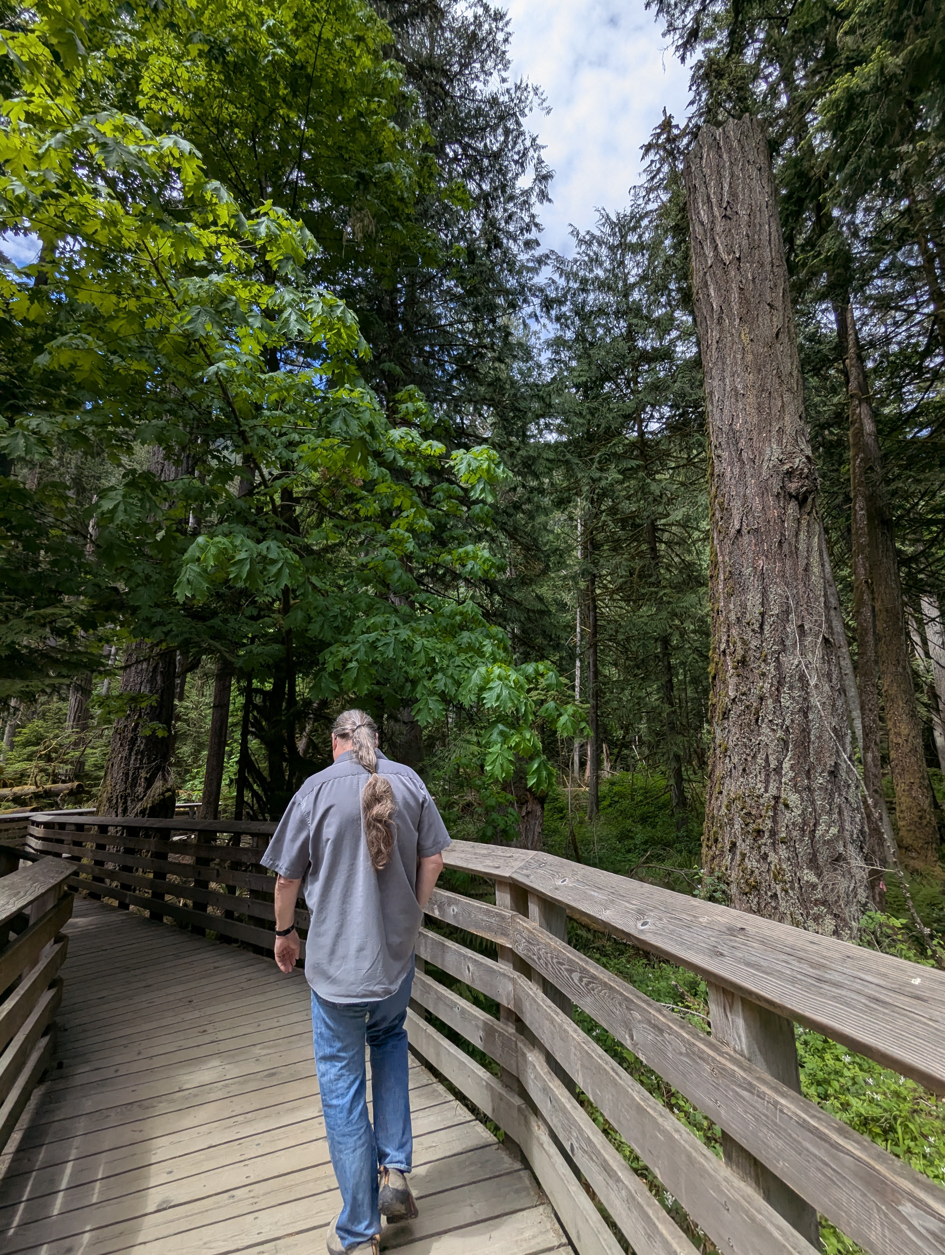 Birthday Trip to Canada, Cathedral Grove, Vancouver Island